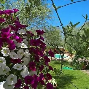 Alloggio per agriturismo Agriturismo Le Dolci Colline D'abruzzo, Pianella (Siena)
